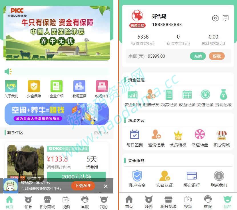 区块链理财源码【互联网畜牧业养牛平台】带积分商城+抽奖+会员特权（有视频教程）